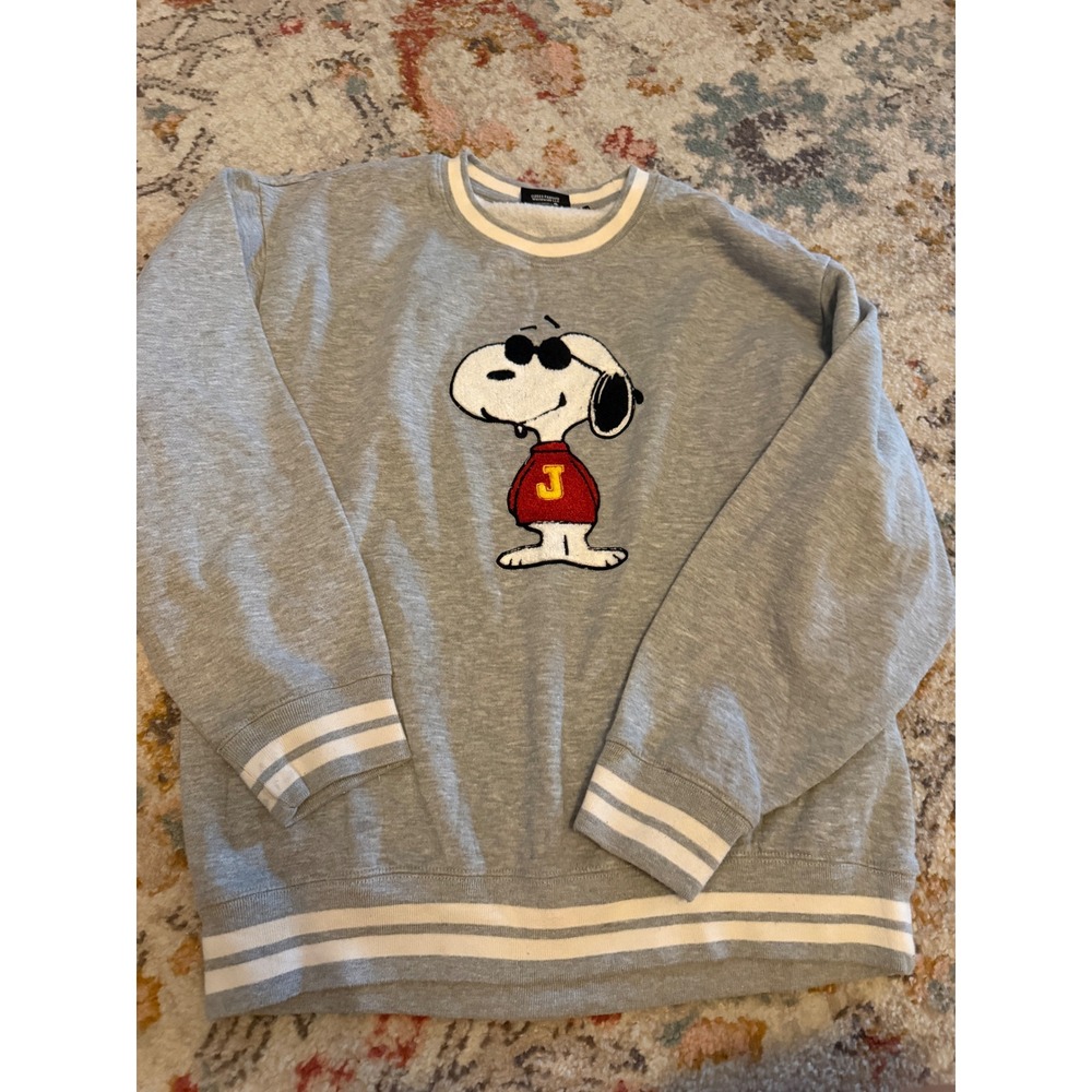 Peanuts Joe Cool Snoopy Varsity Striped Sweatshirt Gray XL Fall C-Life Group